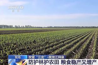 热刺vs枪手历史数据：热刺近6次联赛对枪手仅赢1场，目前已4连败